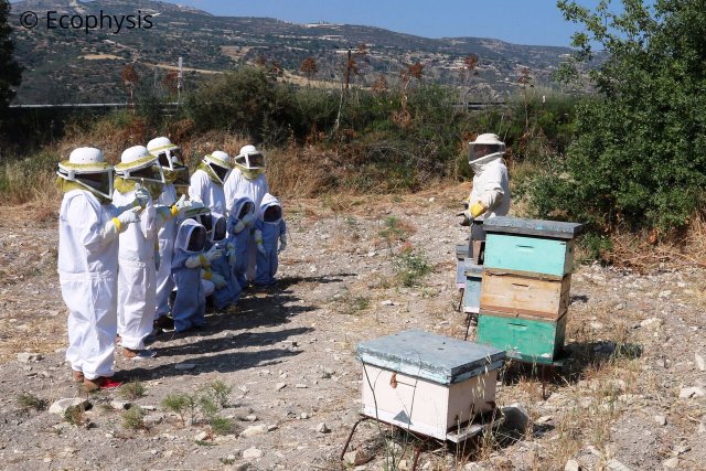 talk at the hives